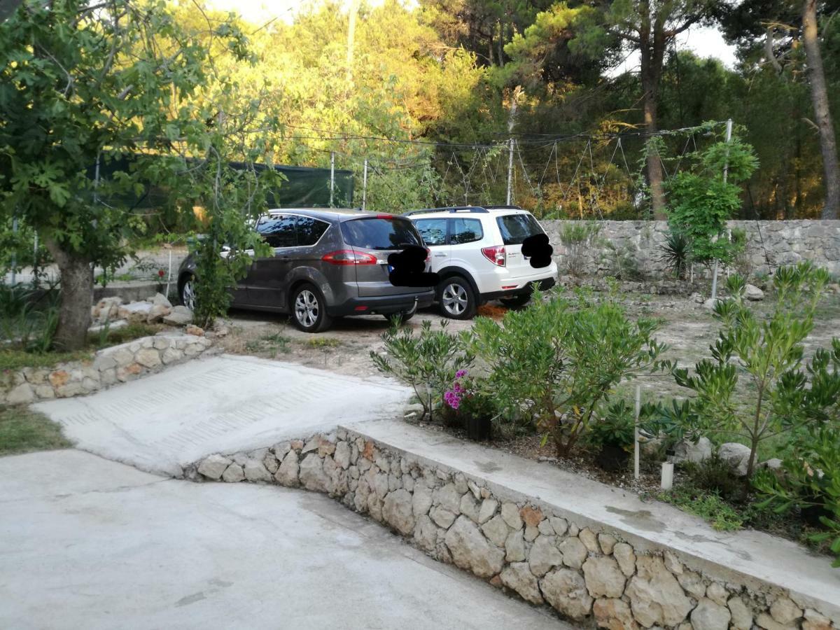Apartment Marija Ždrelac エクステリア 写真